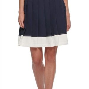Navy blue and white pleated skirt